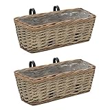 vidaXL 2X Blumenkasten 40cm Rattan Weide Balkonkasten Blumentopf Balkon Garten