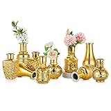 Nuptio Glas Vase Gold 10 Stück Kleine Vasen für Hochzeitstisch Mittelstücke, Goldene Mini Vintage Orchidee Blume Vase Dekorative für Geburtstag Party Baby Dusche Empfang Nach Wohnzimmer Dekoration