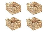 4er-Set Molger Regal Korb / 30 x 21 x 37 cm/Aus Wasserhyazinthe Natur/Faltkorb Flechtkorb Regalbox Storage Box Aufbewahrungskorb Schrankkorb klappbar faltbar und sehr stabil Sparpreis