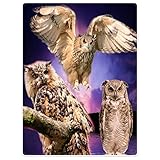 YISUMEI Tapissery 150x200 cm Kuscheldecken Sanft Flanell Weich Fleecedecke Bettüberwurf Eule Owl lila