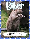 Biber Fotobuch: Fotoalbumsammlung eines großen Tieres mit 40 bunten Seiten im Inneren | Geschenke für Kinder, Jugendliche und mehr