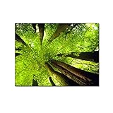 Wandbild Poster für Wohnzimmer Leinwand Wand Bilder Frühling Sommer Herbst Winter Vier Jahreszeiten Bäume Wald Bild Bild Natur Landsc Leinwand Bild Poster (40x60cm Kein Rahmen)