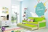 David Kinder Einzelbetten Rollen mit Pull Out, Holz Kiefer Betten für Kinder + Aufbewahrung + Matratzen, siehe Farben, grün, 190x80