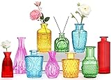 Mini Vasen Glas Set 10er,Bunt Glasvasen für Tischdeko Vintage Blumenvase Hochzeit Office Garden Décor Als Einzugsgeschenk für Freunde und Familie Verwendet Werden