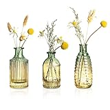 Joeyan 3er Set Vintage Kleine Glasvasen für tischdeko - Farbverlauf Desktop Blumenvase - Geprägte Knospenvase für Hochzeiten, Party, Events Dekorieren Arrangements