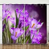 Verdunklungsvorhänge Grün Lila Scheibengardinen Weich Vorhänge Wohnzimmer Vorhänge Schlafzimmer Vorhang Blickdicht Vorhang Schallschutz Scheibengardine Gardine 2x140x240cm
