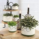 Blumenübertöpfe aus Keramik in witzigem Design - Blumentöpfe - Übertöpfe aus Keramik - Lustige Blumentöpfe - Übertöpfe für Zimmerpflanzen Keramik Größe H 6,5 cm - Ø 8,5 cm