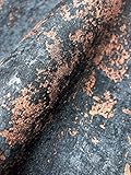 NEWROOM Tapete Anthrazit Putz Beton Architekt Vliestapete Bronze Vlies moderne Design Optik Tapete Struktur Premium Industrial inkl. Tapezier Ratgeber