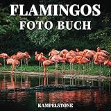 Flamingos Foto Buch: 100 schöne Bilder dieser langbeinigen rosa Vögel - perfektes Geschenk oder Kaffeetischdekor