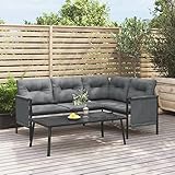 CIADAZ 2-TLG. Garten-Lounge-Set, Gartenmöbel, Balkonmöbel, Balkon Möbel, Loungemöbel Balkon, Möbelsets, Terrasenmöbelset, Anthrazit Stahl