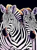 LIUJUNH PhotoCustom 40 x 50 cm Malen nach Zahlen Tiere DIY Set Acrylfarbe zum Malen nach Zahlen auf Leinwand Zebra Home Decor Wall AR FFG03 40 x 50 cm