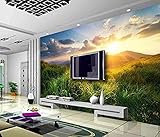 3D Wallpaper Wohnzimmer TV Hintergrund Schlafzimmer 3D Fototapete Sunny Meadow Schöne Landschaft Wandbild 3D W 3D Tapete Vlies Effekt Tv Die Fototapete Wandbild Wohnzimmer Schlafzimmer-400cm×280cm