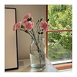 Blumenvasen Vintage Glasvasen Transparente Dekoration Trockenblumenarrangement Wohnzimmer Tee Tischdekoration Blumen Pflanzen Hydroponik Blumenvasen Dekorative Vase