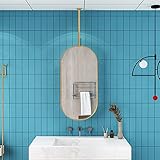 SUCHETA Moderner ovaler Goldener Hängespiegel für Badezimmer, Waschraum, Garderobe, Deckenspiegel mit goldenem Metallrahmen, 40 cm x 70 cm, 50 cm x 70 cm, anpassbarer dekorativer Spiegel (Größe: 40