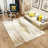 RUGMRZ Waschbarer Teppich Wohnzimmer 50 x 70 cm Teppich Wohnzimmer grau rechteckig Minimalist wasch bar Teppich Flur rutschfest