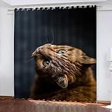 ONDIAN ösenvorhang 140 x 117 cm(55 x 46 inch) Blickdichte Gardinen Verdunkelungsvorhang - Lichtundurchlässige Vorhang mit Ösen für Schlafzimmer Geräuschreduzierung 2er Set