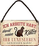 Blechschilder Lustiger Spruch “Ich arbeite hart Katze. Luxusleben“ Deko Hängeschild Türschild Metallschild Hauseingang Katzenschild Geschenkidee für alle Katzenbesitzer oder Katzenfans 18x12 cm