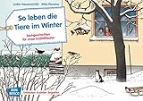 So leben die Tiere im Winter. Kamishibai Bildkartenset.: Entdecken - Erzählen - Begreifen: Sachgeschichten (Sachgeschichten für unser Erzähltheater)