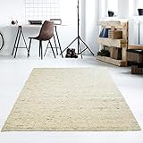 Taracarpet Moderner Handweb Teppich Alpina handgewebt aus Schurwolle für Wohnzimmer, Esszimmer, Schlafzimmer und die Küche geeignet (130 x 190 cm, 60 Beige meliert)