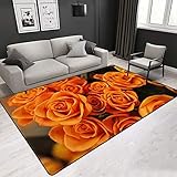 FLOORMATJING Kurzer kurzer Schlafteppich für Wohnzimmer Wohnzimmer Modernes Design Wohnzimmer Teppiche rutschfeste Möbel Waschbare Ornamente,Orange,120*160cm