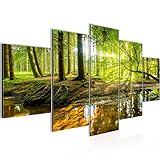 Runa Art - Bilder Wald Landschaft 200 x 100 cm 5 Teilig XXL Wanddekoration Design Grün 611751a