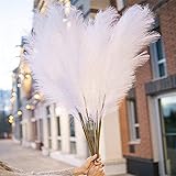 qianyun Pampasgras Groß Künstlich, 5 Stück 120 cm(47'', 3.9ft) Weiß Künstlich Pampasgras Groß, Flauschig Pampasgras Geeignet für Boho Wohnzimmer-Schlafzimmer-und Vasen Deko（Weiß）