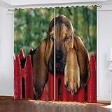 2 Stücke Thermogardine Schlafzimmer Wohnzimmer Modern Digitaldruck 3D Roter Zauntierhund Vorhang Blickdicht Kinderzaimmer Fensterdekoration, Schallschutz Verdunkelungsvorhang 200X160cm