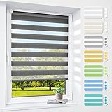 Doppelrollo klemmfix ohne Bohren, 60 x 200 cm (BxH) Anthrazit, 3-in-1 Rollos für Fenster & Tür, Fensterrollo innen lichtdurchlässig & verdunkelnd, Klemmrollo Duo Rollo Sonnenschutz & Sichtschutz