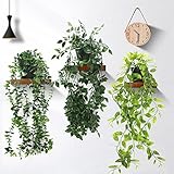 INSANYJ Künstlich Hängepflanze, 3 Stück Kunstpflanze Hängend mit Töpfen Eukalyptus Blätter 63cm Lang, Künstliche Pflanzen Deko Modern Wohnzimmer Balkon Schlafzimmer Zimmer Tischdeko