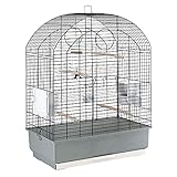 Ferplast Vogelkäfig Wellensittich Käfig Exotenkäfig, inkl. Vogelspielzeug, Vogel-Futternapf, Vogel-Sitzstangen, 59 x 33 x h 80 cm Nero