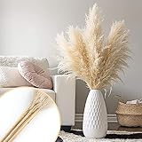 Poiuyoiu Pampas Grass XXL 3 Stück Pampasgras großes Pampasgras getrocknet XXL, künstlich pampasgras XXL Boho-Trockenblumenstrauß für Heimdekoration, Fotografie(112-115 cm)