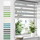 Doppelrollo schnurlos Klemmfix ohne Bohren Duo Rollos für Fenster & Tür, 90x150cm (BxH) Grau, Drücken Und Ziehen Springrollos Klemmrollo ohne Schnur lichtdurchlässig & Blickdicht