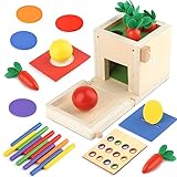DINORUN Holzspielzeug Montessori Spielzeug für 1 2 3 4 -Jährige sortieren und stapeln Spielzeug für Jungen und Mädchen Geburtstag Neujahr Geschenk
