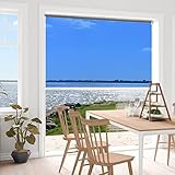 Rollo Fenster-Einweg-Sichtschutz-Rollo, UV-blockierende Rollos/Tagsüber Durchsichtiger Vorhang Für Home Office Kirche Terrassentür, Sommer-Spiegel-Rollos Mit Blauem Tönungsfilm (Size : 18inx78.7in/4