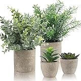 ALAGIRLS 4 Stück Künstliche Pflanzen, Mini Kunstpflanze Eukalyptus Rosmarin Sukkulenten mit Topf Schreibtisch Küche Badezimmer Garten Deko