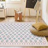 NNGIRL Mädchenzimmer Teppich, Modernes Geometrisches Design Teppiche Rosa Blau Grau Waschbar Teppichbodenmatte Für Wohnzimmer Schlafzimmer Küche Nachttischmatte,80x160cm(31x63inch)