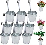 9er Set Hängetopf Blumentopf Pflanztopf Übertopf mit Haken Zink Deko Vase Balkon Garten (9er Set Silber)