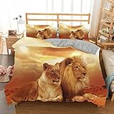 Bettbezüge Einzelbett Tier Löwe Grasland 3D 3-teiliges Bettwäsche-Set mit 2 Kissenbezügen und Bettbezug King Size Double für Mädchen Erwachsene 260 x 220 cm