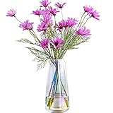 Ins Moderne Vasen, Irisiert Kristallklar Glasvase, Blumenvase für Zuhause, Büro, Dekor(Neon klar)