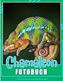 Chamäleon Fotobuch: Ein kleines Tier, dargestellt durch 40 bunte Seiten im Inneren | Geschenke für Fans jeden Alters an besonderen Tagen