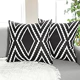 Dremisland 2er Set Outdoor Kissenbezüge Schwarz und Weiß Geometrische Kissenhülle Dekokissen Sofakissen Dekorativ Boho Azteken Couchkissen Bezug für Sofa Bett Terrasse Balkon Garten (45x45cm, Schwarz)