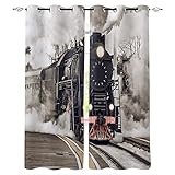 MXYHDZ Blickdicht Vorhang für Schlafzimmer - Retro Eisenbahn Zug Landschaft - 3D Druckmuster Öse Thermisch isoliert - 140 x 160 cm - 90% Blickdicht Vorhang für Kinder Jungen Mädchen Spielzimmer