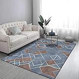 DSHUB Teppiche Wohnzimmer Teppich Grau Blau Braun Geometrische Linien Kurzflor, Eingefasst, Weich，Maschinenwaschbar 160*230