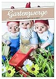 Gartenzwerge: Die rote Zipfelmütze im Beet (Wandkalender 2024 DIN A2 hoch), CALVENDO Monatskalender
