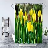 3D Duschvorhang 240x200 Tulpe Duschvorhänge Antischimmel Wasserdicht Badevorhang Tulpe Duschrollo für Badewanne Dusche Shower Curtains, 12 Duschvorhang Ringe