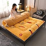 Matratze Klappmatratze Doppel-Futon, verdickte Tatami-Schlafmatte, einfache und Moderne Klappmatratze Doppel-Futon-Bodenmatte weiche Tatami-Gesteppte Schlafunterlage Camping rutschfest und