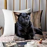 kissenbezüge 45x45cm,Schwarzer Leopard Afrika Natur fleischfressend wie Schnurrbart aufmerksa,Deko Kissenbezug für Wohnzimmer Büro Garten Sofa, Polyester Zierkissenbezug mit unsichtbarem Reißverschluß