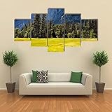 5 teiliges wandbild Frühlingswiese im Yosemite-Nationalpark 5 stück leinwand wandkunst,5 teilig leinwand wanddeko wohnzimmer,leinwanddruck 5 teilig bilder wohnzimmer modern groß,mit rahmen,100x55cm