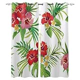 3D Kinderzimmer Verdunkelungsvorhänge 150 (B) X 166 (H) Cm Regenwaldblumenpflanzen Der Tropischen Kunst ,3D-Gedruckte Vorhänge Wohnzimmer Bürovorhänge Energiesparende Geräuschreduzierende Kindergardi