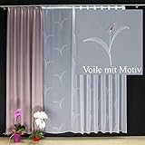 EASYHomefashion Hochwertige Gardine Fertiggardine Voile Store Schal mit Stickerei Faltenband und Bleiband weiß MALGA 130 x 450 cm (HöhexBreite)